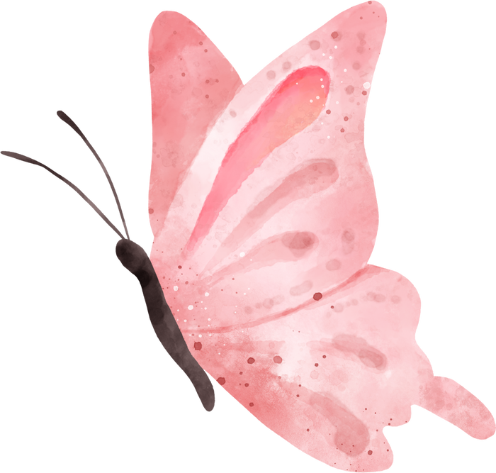 Watercolor Pink Butterfly Illustration