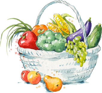 A basket full of fresh fruit and vegetables watercolor illustration