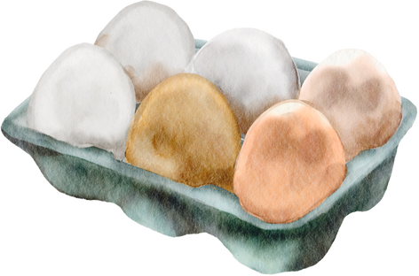 egg watercolor