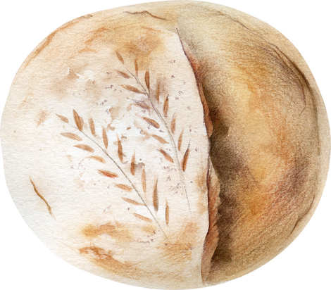 Watercolor Round Sourdough Bread Illustration
