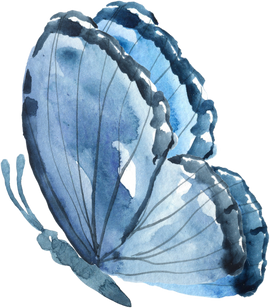 Blue watercolor butterfly